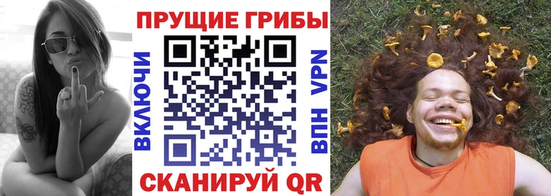 Купить  Лагань  Псилоцибиновые грибы мицелий 