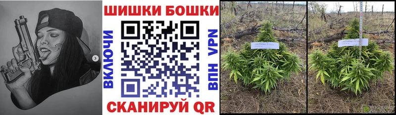 Канабис MAZAR Лагань